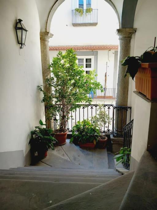 Nilo 28 House Apartman Nápoly Kültér fotó